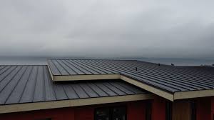 Best Metal Roofing Installation  in Alpine, NJ